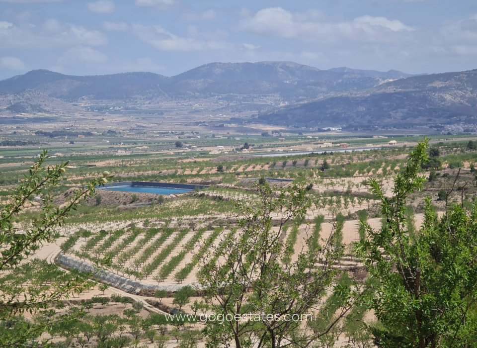 Revente - Terrain - Terrain - Yecla - Yecla Centro