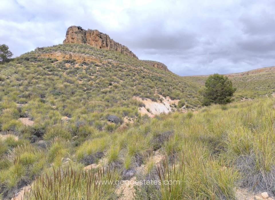 Revente - Terrain - Terrain - Yecla - Yecla Centro