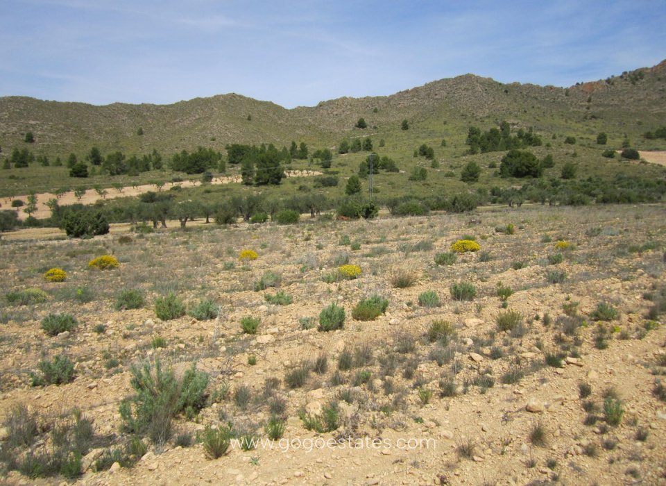 Revente - Terrain - Terrain - Yecla - Yecla Centro