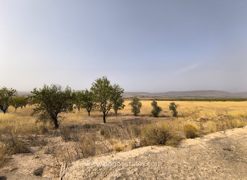 Revente - Terrain - Terrain - Yecla - Yecla Centro