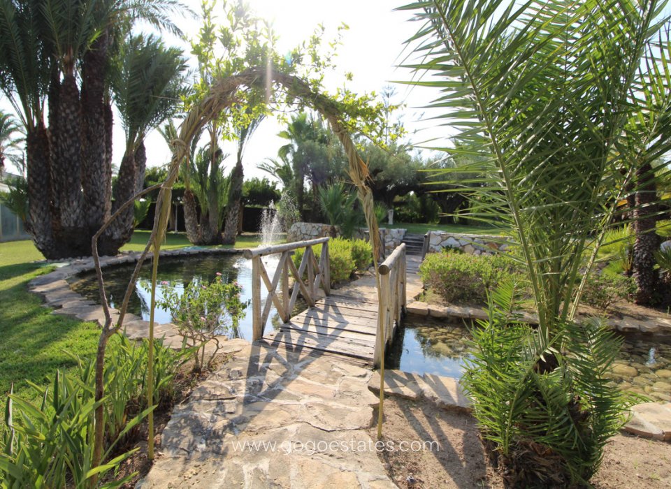 Te koop - Huis - Finca - Cortijo - Elche - Valverde