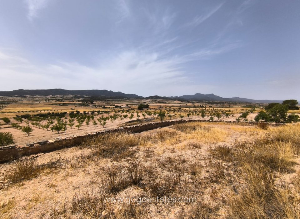 Te koop - Huis - Finca - Cortijo - Jumilla - Torre del Rico