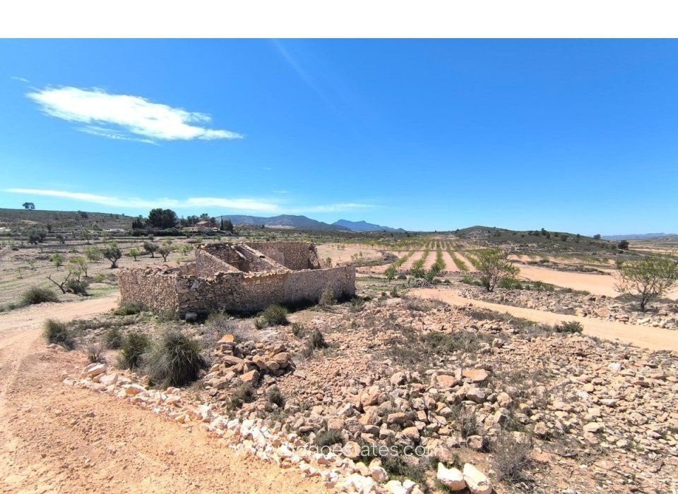 Te koop - Huis - Finca - Cortijo - Pinoso - Pinoso Centro