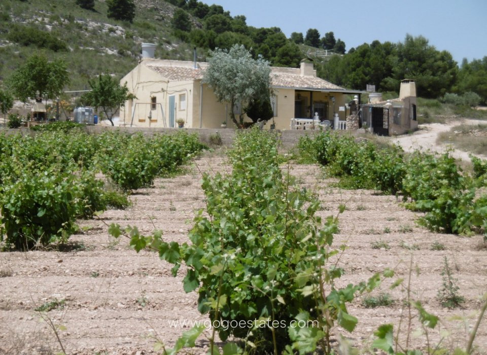 Te koop - Huis - Finca - Cortijo - Yecla - Yecla Centro