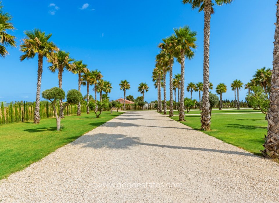 Te koop - Huis - Vrijstaande Villa - Elche - Elche Centro