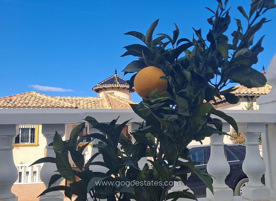 Te koop - Huis - Vrijstaande Villa - Orihuela - La Zenia