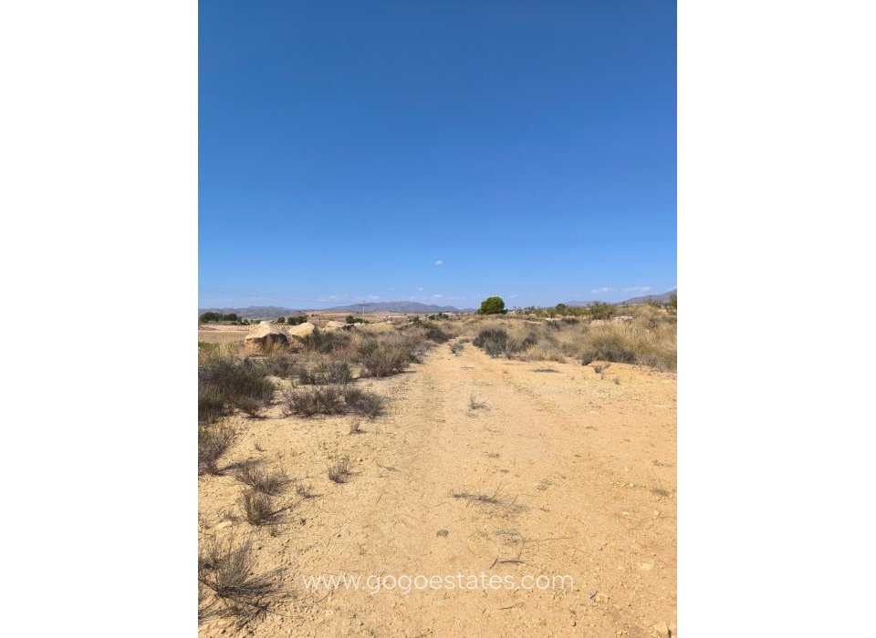 Te koop - Parcela - Jumilla - Jumilla Centro