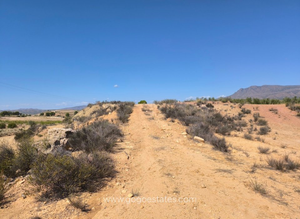 Te koop - Parcela - Jumilla - Jumilla Centro