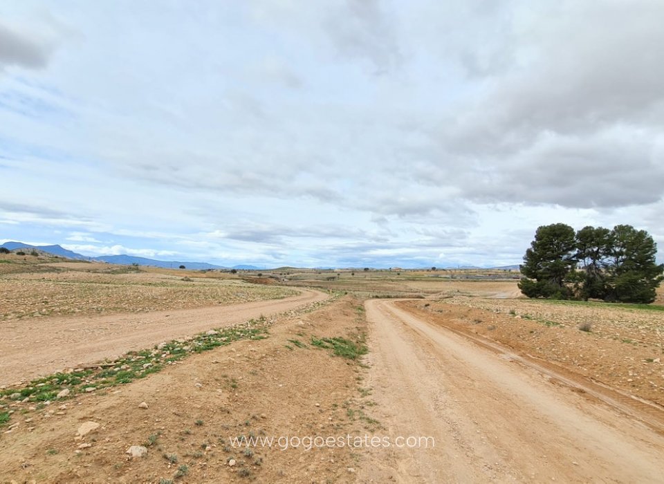 Te koop - Parcela - Jumilla - Torre del Rico