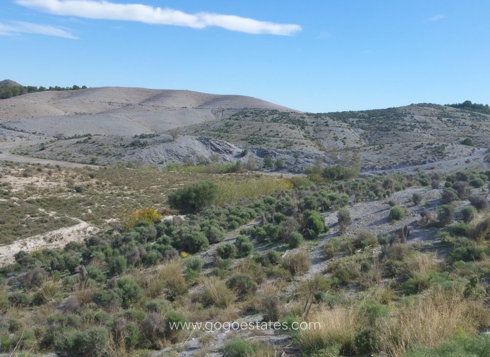 Te koop - Parcela - Lorca - Corredera