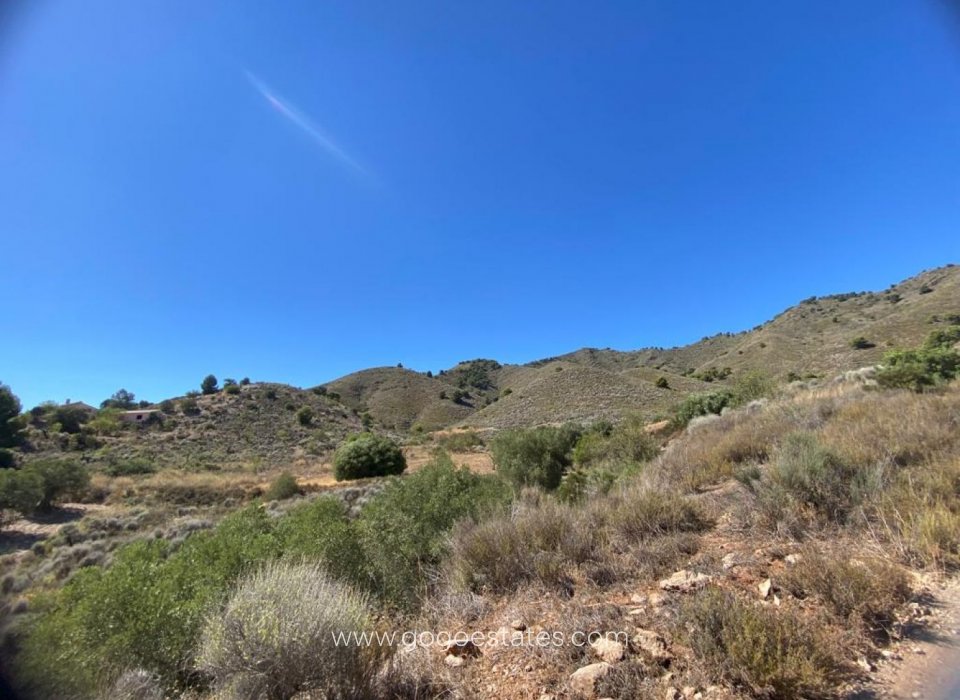 Te koop - Parcela - Lorca - La Hoya-Almendricos-Purias