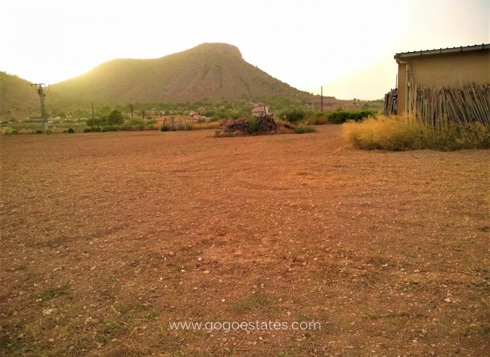 Te koop - Perceel - Land - Aspe - Aspe Centro