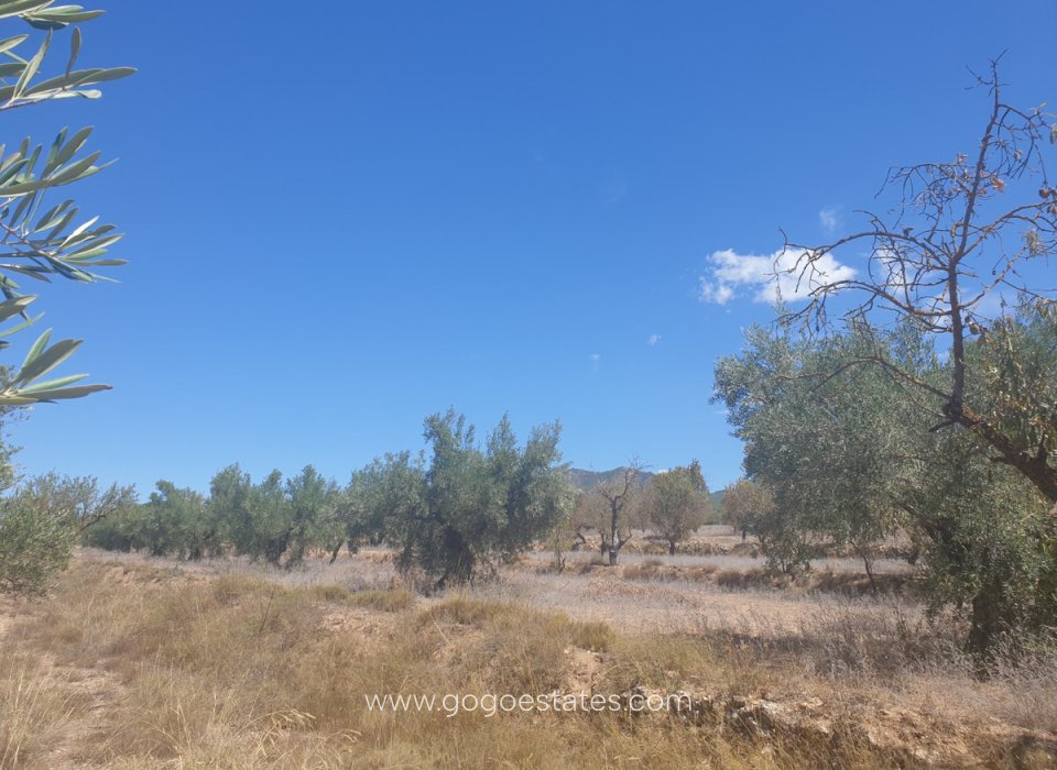 Te koop - Perceel - Land - Biar - Biar Centro