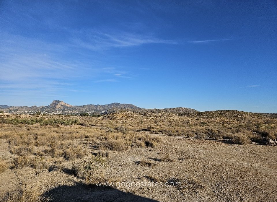 Te koop - Perceel - Land - Elda - Elda Centro