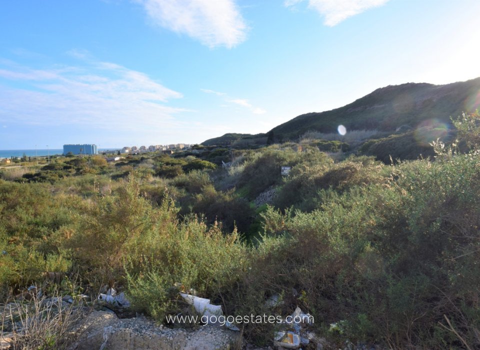 Te koop - Perceel - Land - Guardamar del Segura - Guardamar del Segura Centro