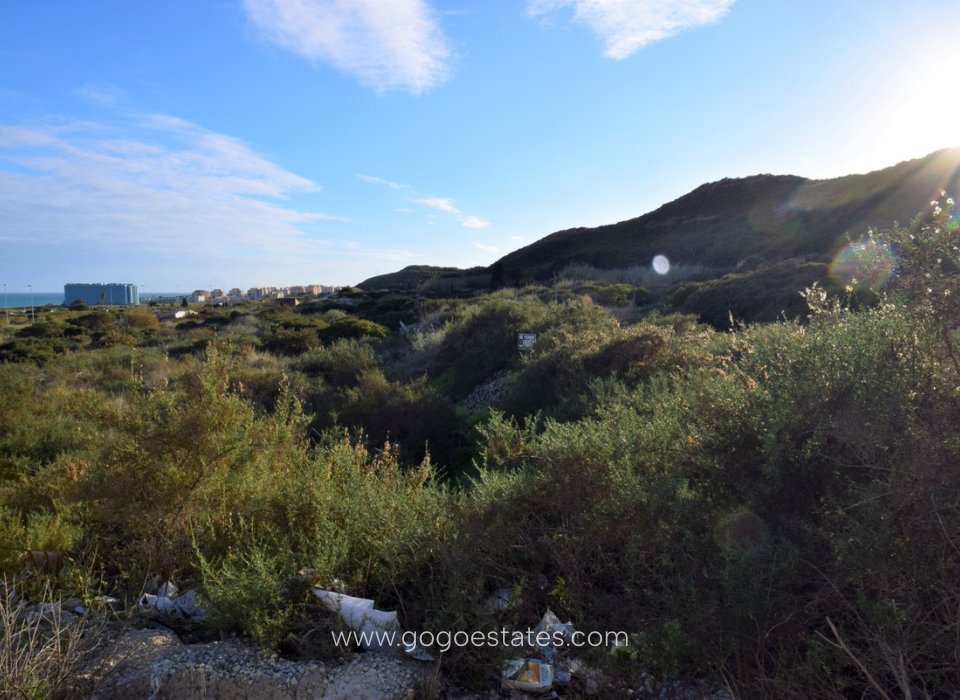 Te koop - Perceel - Land - Guardamar del Segura - Guardamar del Segura Centro