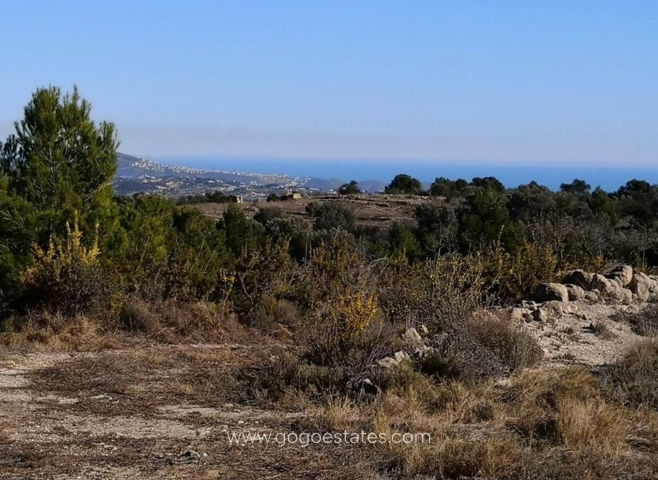 Te koop - Perceel - Land - Jalon - Bernia