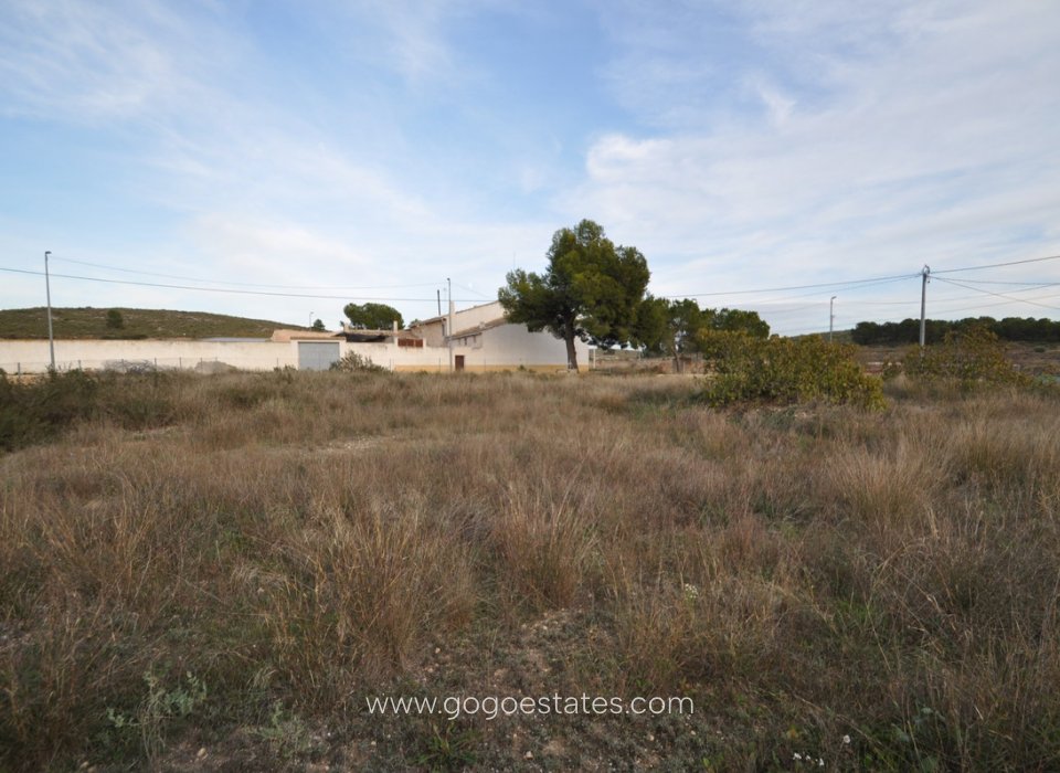 Te koop - Perceel - Land - Jumilla - Cañada del Trigo