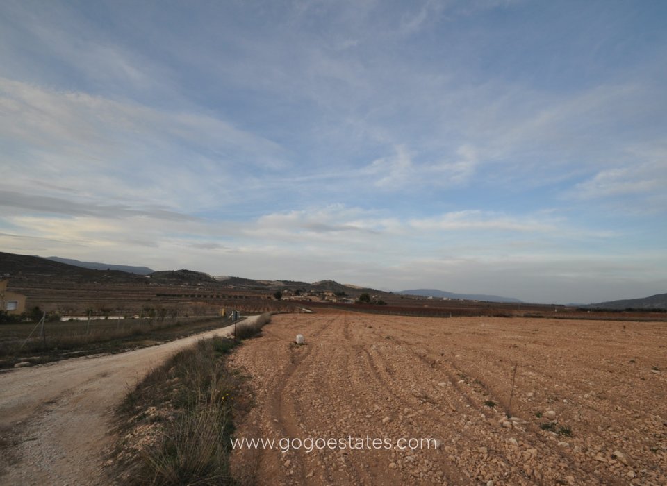 Te koop - Perceel - Land - Jumilla - Cañada del Trigo
