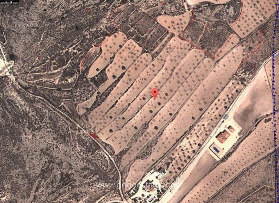 Te koop - Perceel - Land - Jumilla - Jumilla Centro