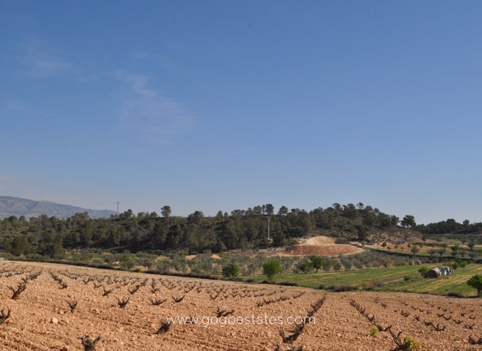 Te koop - Perceel - Land - Jumilla - La Zarza