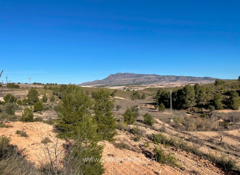 Te koop - Perceel - Land - Jumilla - La Zarza