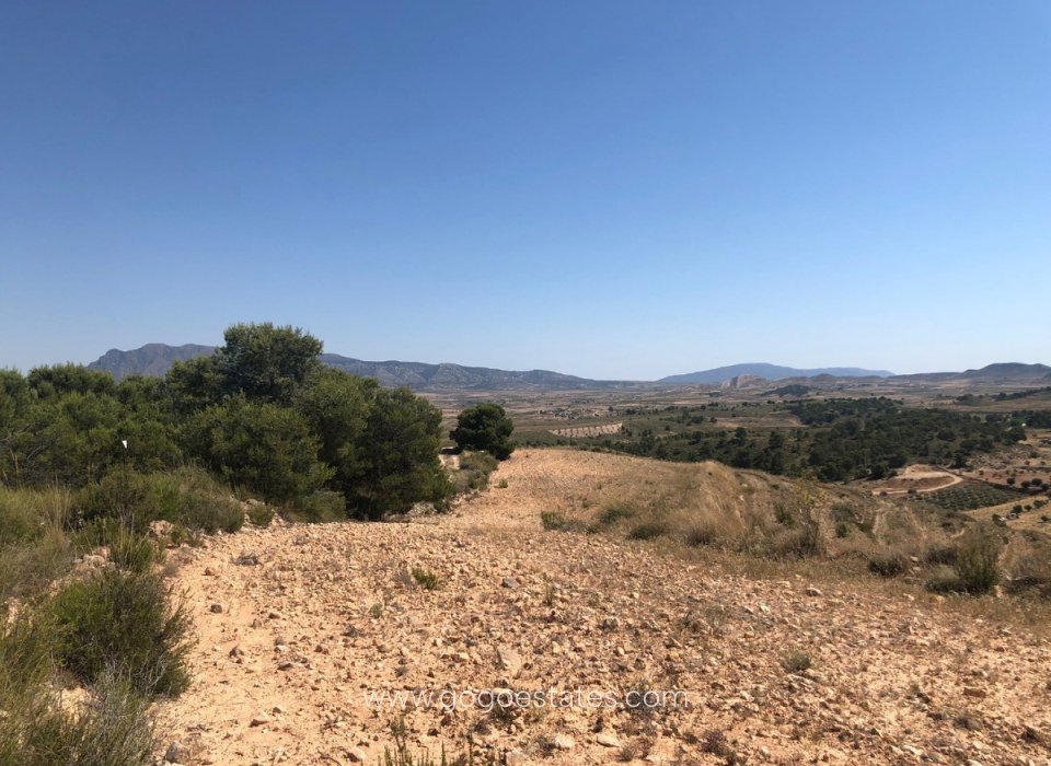 Te koop - Perceel - Land - Jumilla - La Zarza