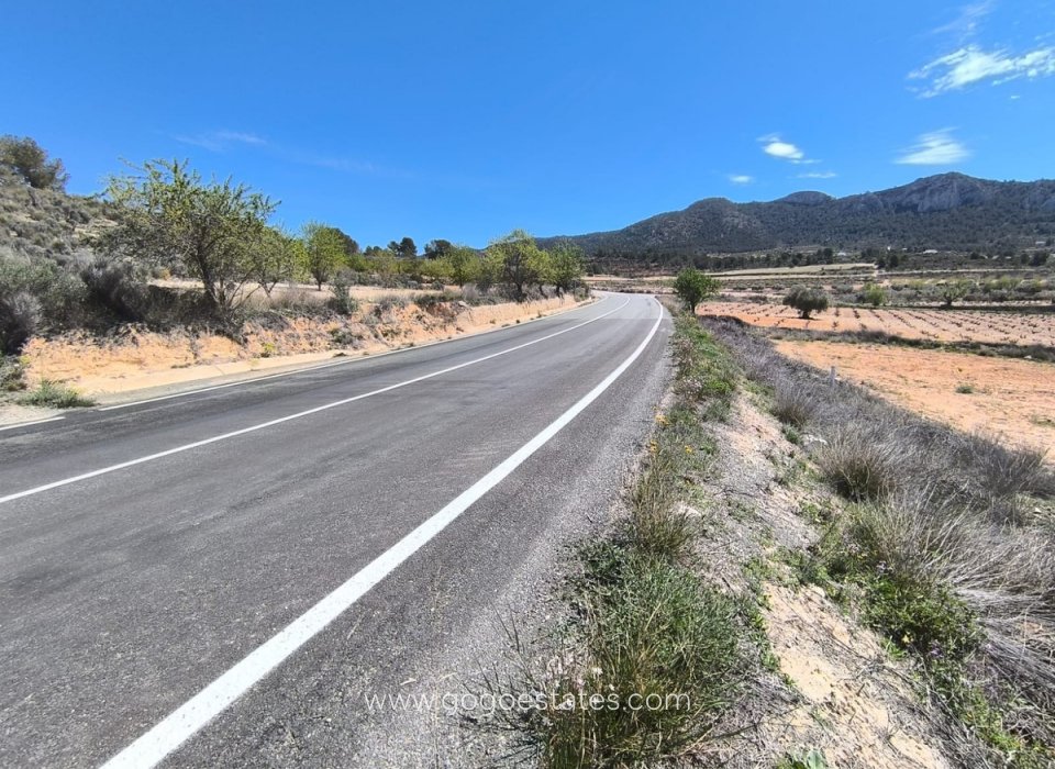 Te koop - Perceel - Land - Jumilla - La Zarza