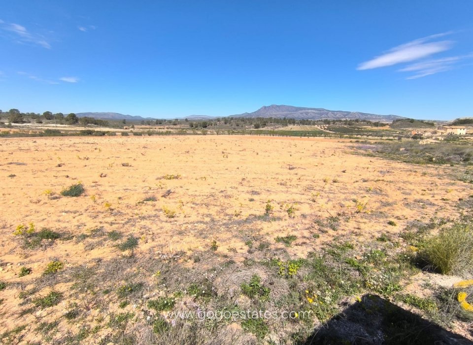 Te koop - Perceel - Land - Jumilla - La Zarza