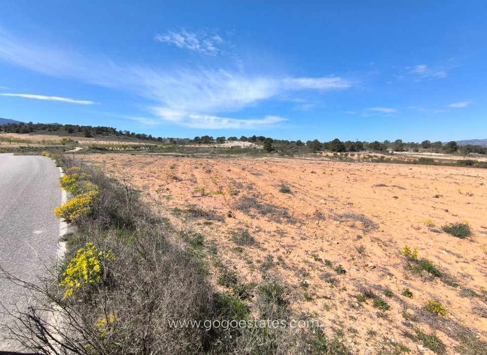Te koop - Perceel - Land - Jumilla - La Zarza