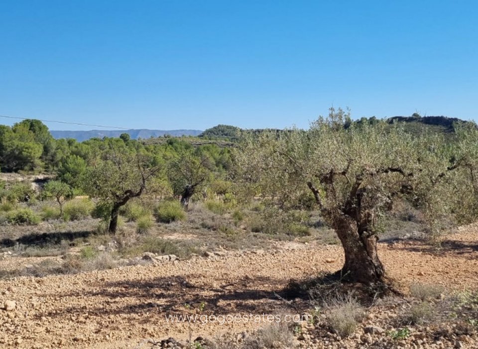 Te koop - Perceel - Land - Monóvar - Monòver - Casas del Señor