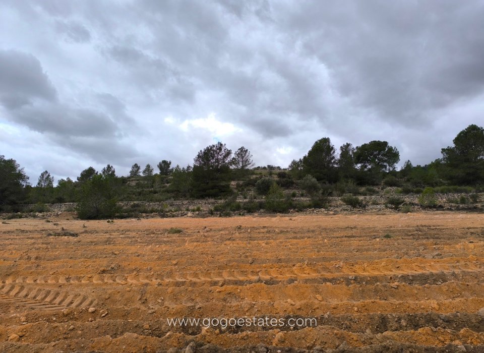 Te koop - Perceel - Land - Monóvar - Monòver - Chinorlet