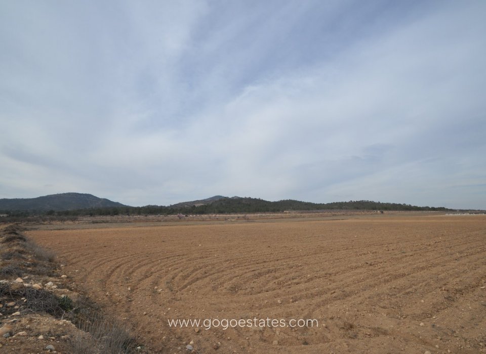 Te koop - Perceel - Land - Monóvar - Monòver - Monóvar - Monòver Centro