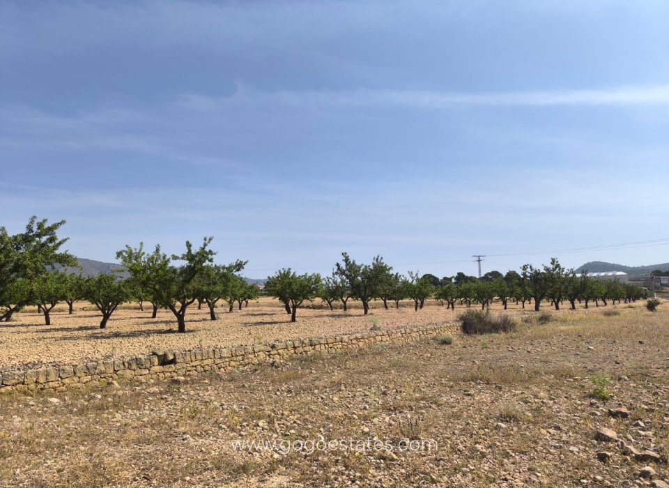 Te koop - Perceel - Land - Monóvar - Monòver - Monóvar - Monòver Centro