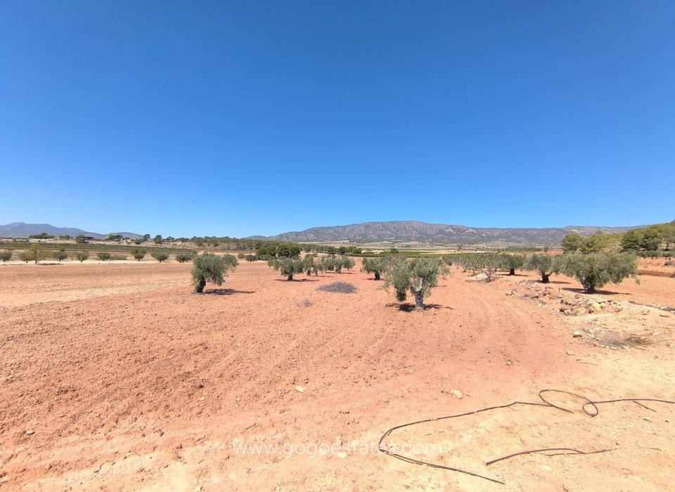 Te koop - Perceel - Land - Monóvar - Monòver - Monóvar - Monòver Centro