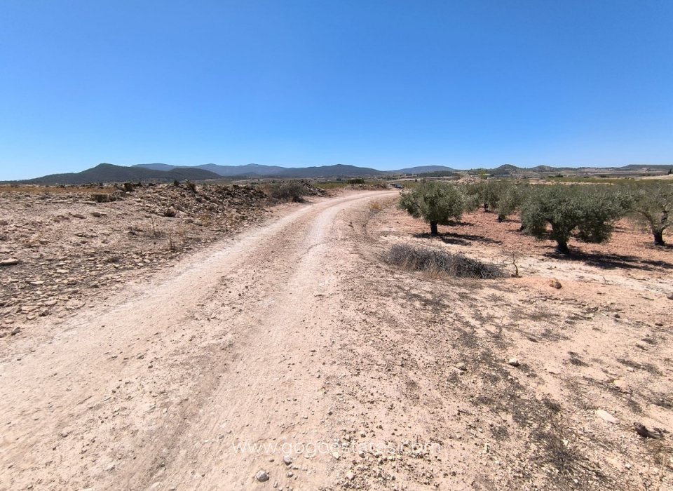 Te koop - Perceel - Land - Monóvar - Monòver - Monóvar - Monòver Centro