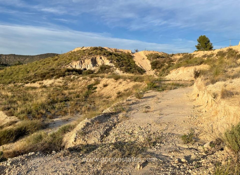 Te koop - Perceel - Land - Murcia - Abanilla Centro