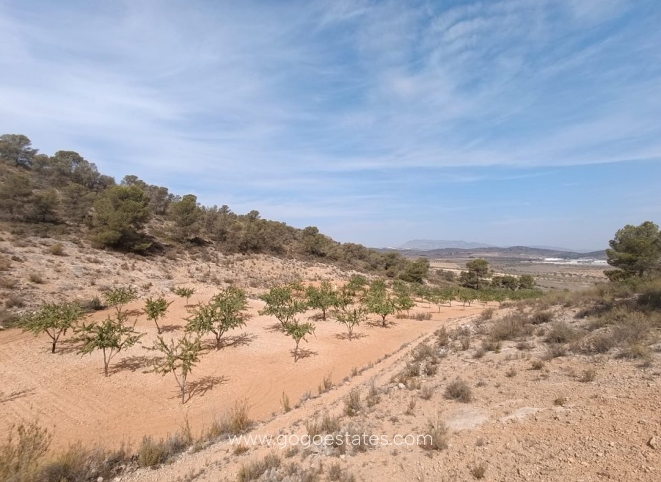 Te koop - Perceel - Land - Murcia - Abanilla Centro