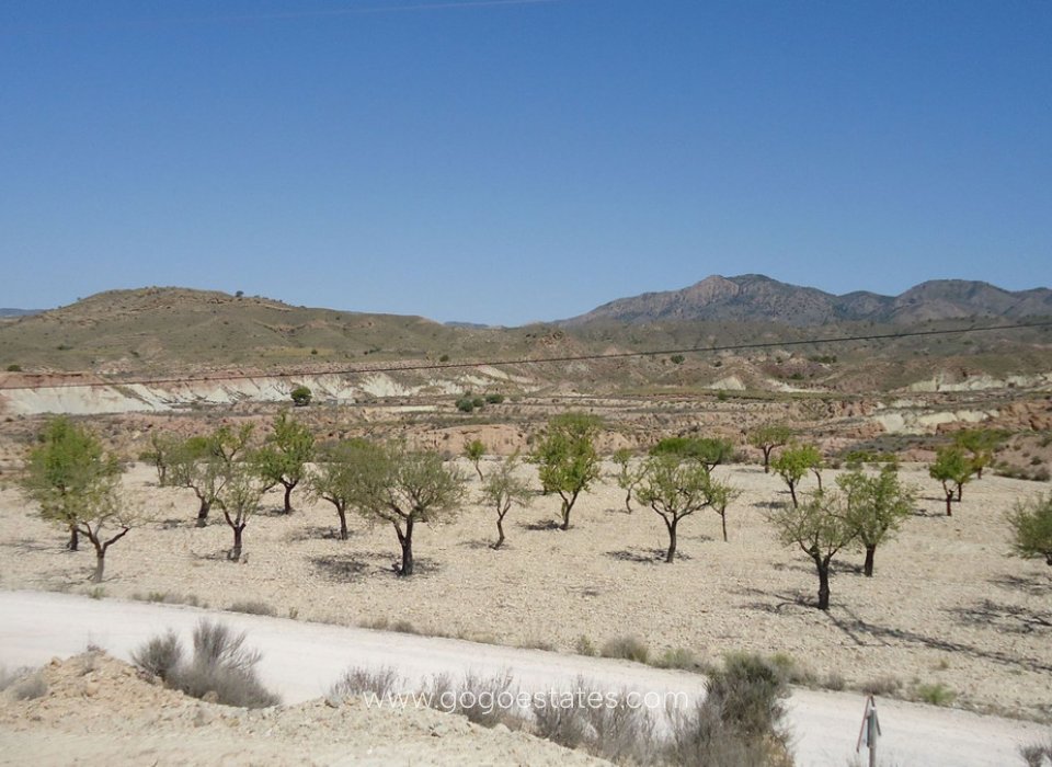 Te koop - Perceel - Land - Murcia - Abanilla Centro