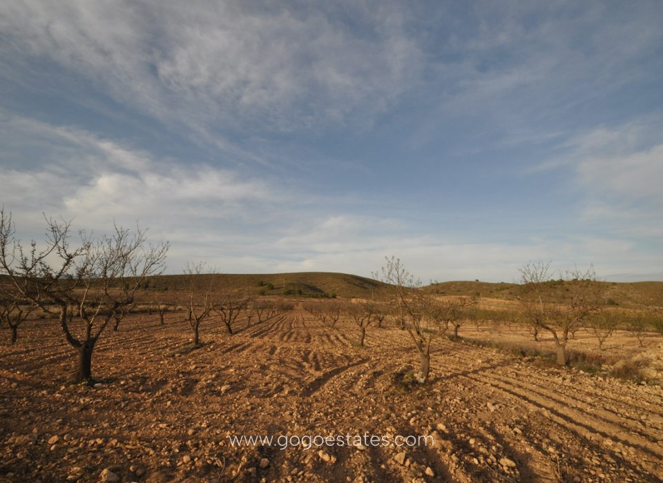 Te koop - Perceel - Land - Murcia - Abanilla Centro