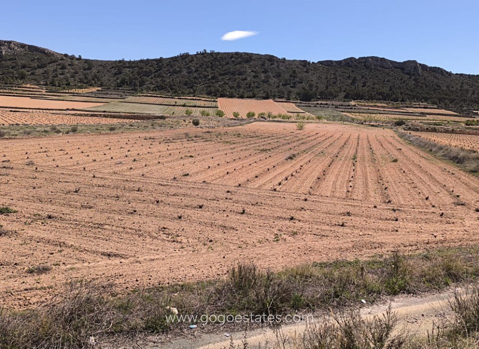 Te koop - Perceel - Land - Murcia - Abanilla Centro