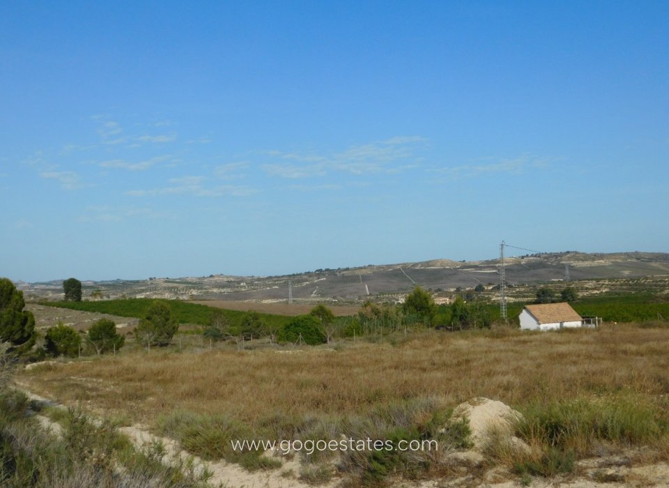 Te koop - Perceel - Land - Orihuela - Torremendo