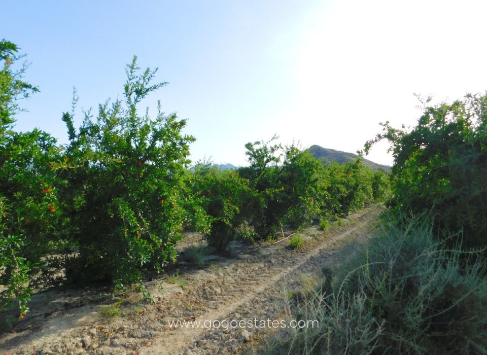 Te koop - Perceel - Land - Orihuela - Torremendo