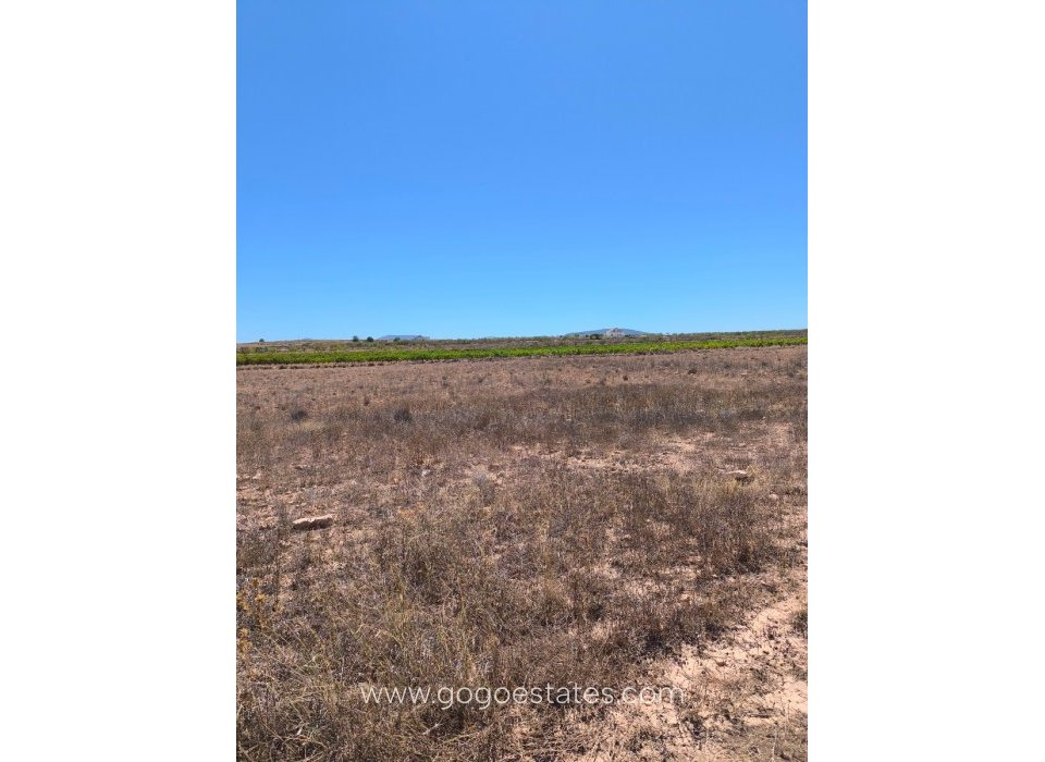 Te koop - Perceel - Land - Pinoso - Aspe