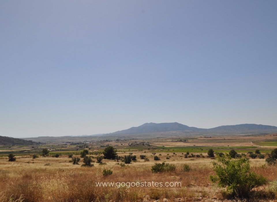 Te koop - Perceel - Land - Pinoso - Pinoso Centro