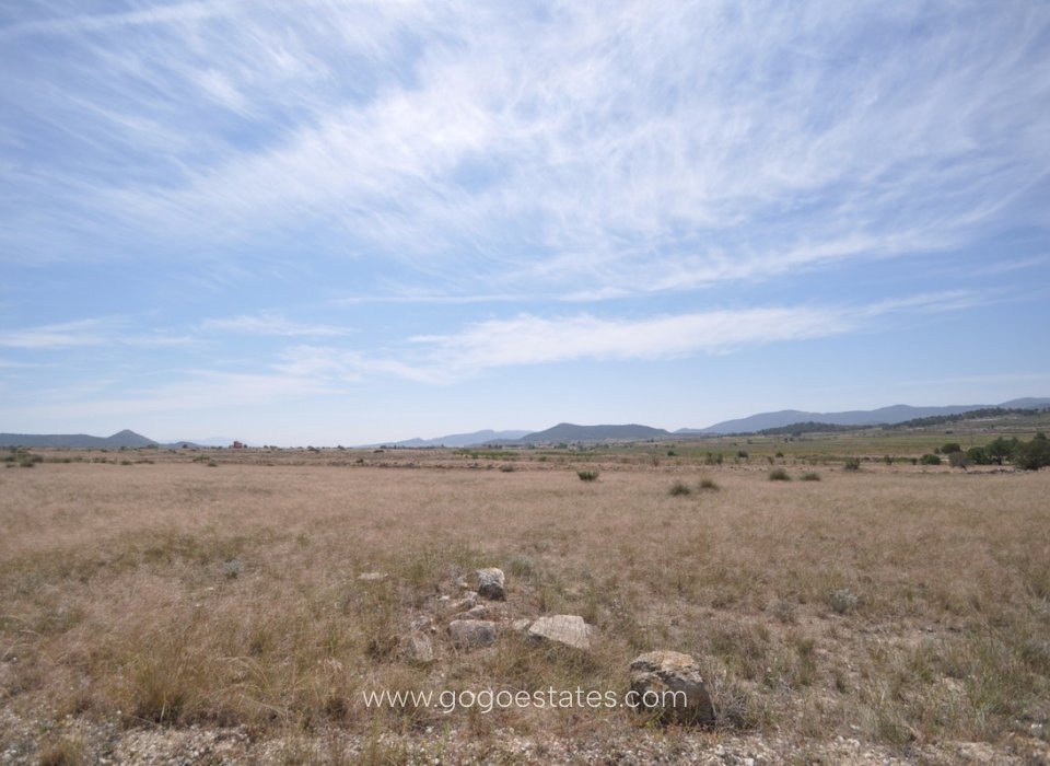 Te koop - Perceel - Land - Pinoso - Pinoso Centro