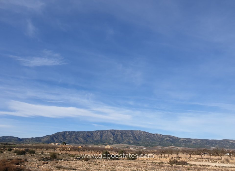 Te koop - Perceel - Land - Pinoso - Pinoso Centro