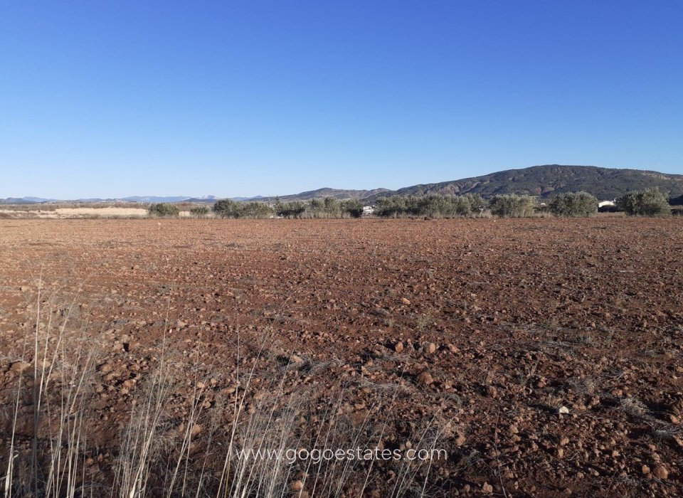 Te koop - Perceel - Land - Pinoso - Pinoso Centro