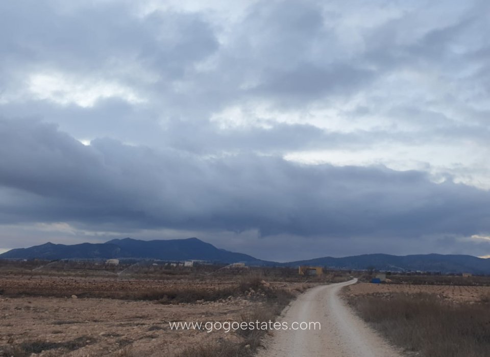 Te koop - Perceel - Land - Pinoso - Pinoso Centro