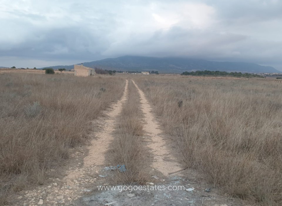 Te koop - Perceel - Land - Pinoso - Pinoso Centro